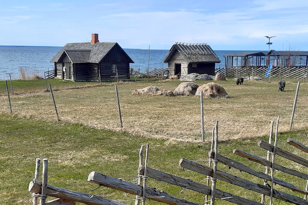 Museo Estone all'Aperto tallinn