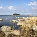 kasmu-lahemaa-national-park