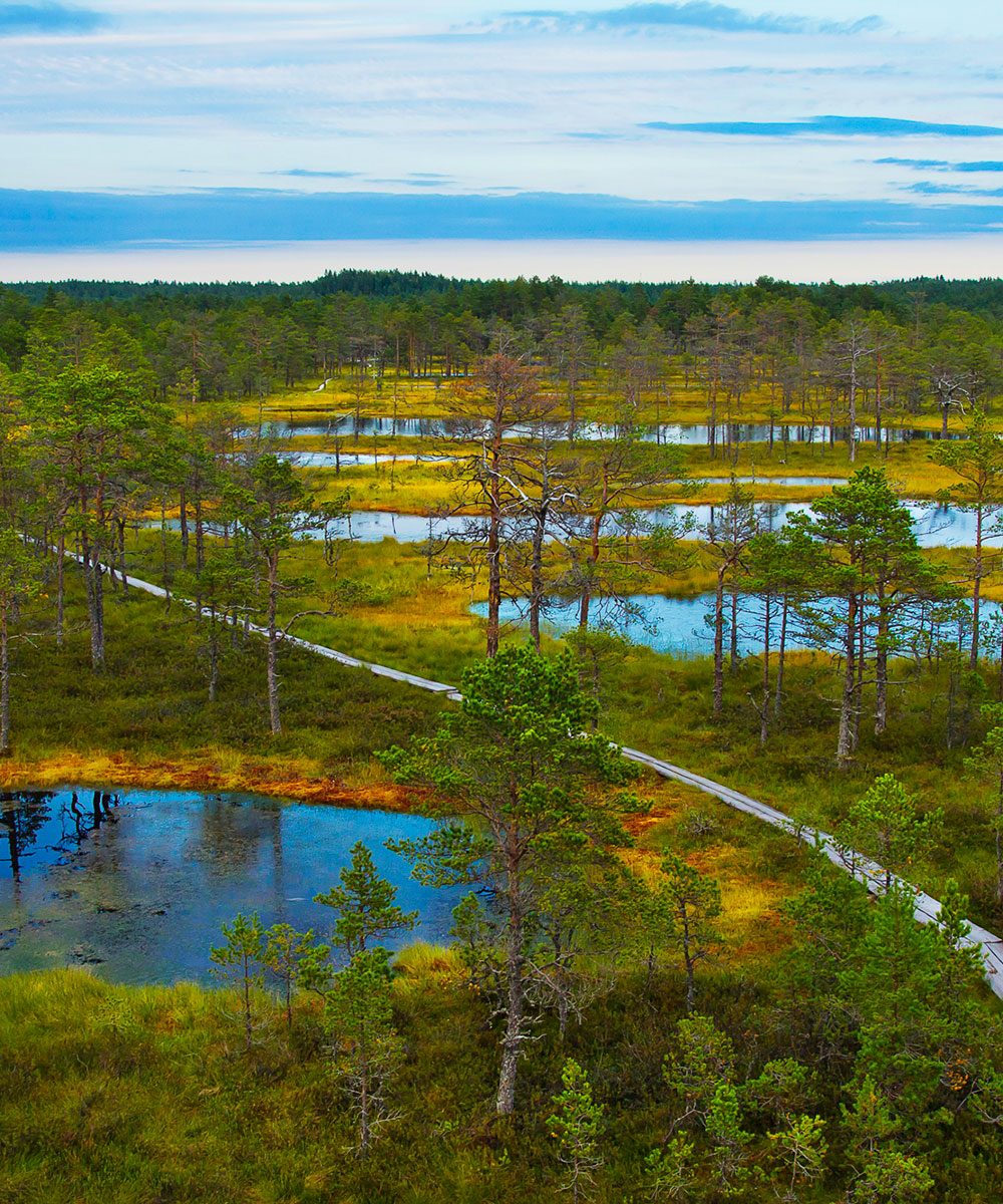 lahemaa-national-park-estonia