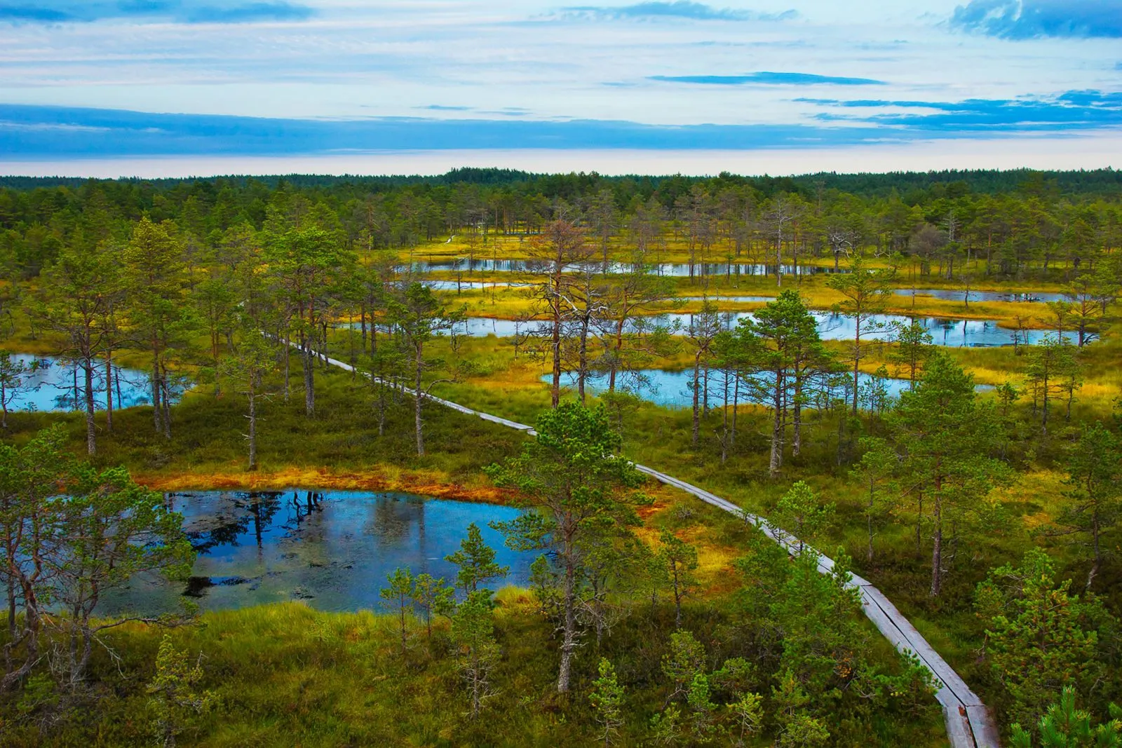 lahemaa-national-park-estonia