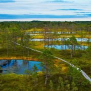 lahemaa-national-park-estonia