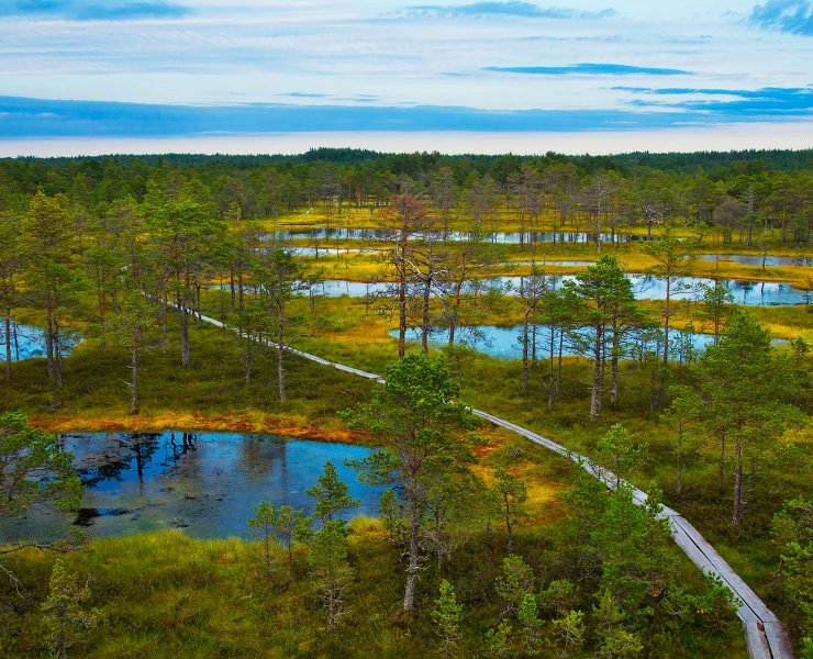 lahemaa-national-park-estonia