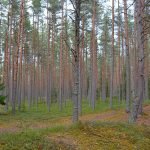 oandu-lahemaa-trekking-