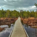 palude-di-viru-lahemaa-estonia