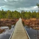palude-di-viru-lahemaa-estonia