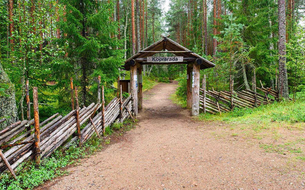 sentiero-dei-castori-lahemaa