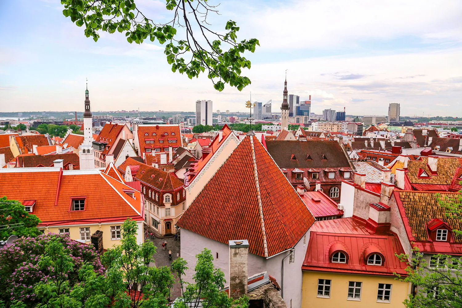 tallinn-cosa-vedere