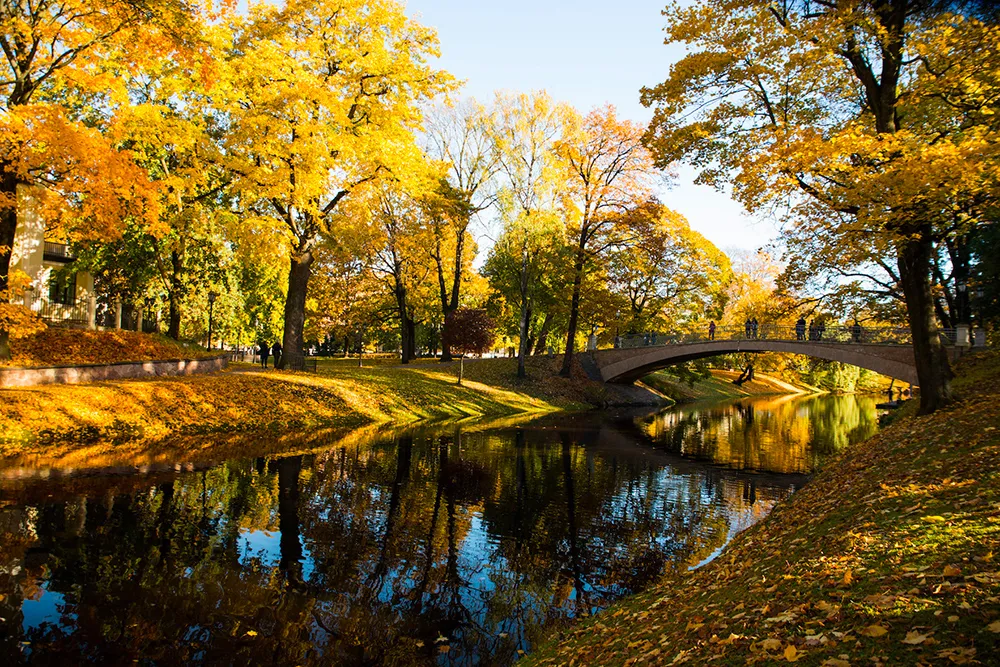 canale di riga